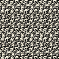 4" x 4" Pattern Acrylic And Crossbones | Create With 614