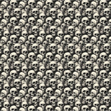 4" x 10" Pattern Acrylic And Crossbones | Create With 614